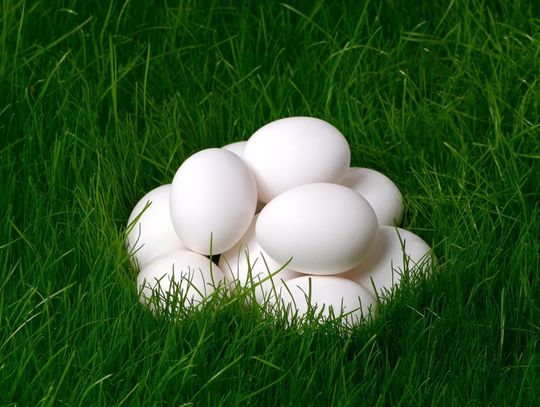 „Centrala Rękodzieła” na hali