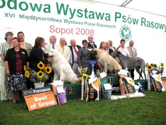 Champion z mieszanymi uczuciami