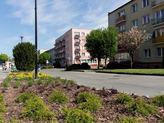 Chcesz mieć głos w sprawie przyszłości Alei Wojska Polskiego? Przyjdź na spotkanie!