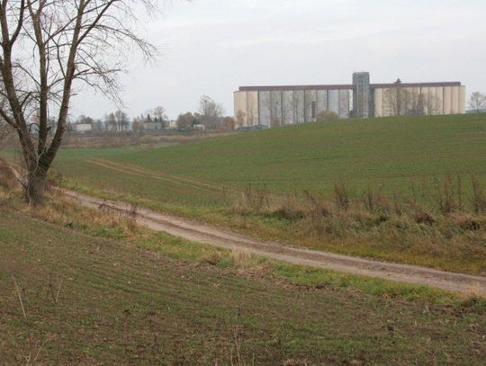 Chleb drożeje!!! Mączno - mięsne zamieszanie  - takich ruchów cenowych na zbożowym rynku nie było od lat 80.