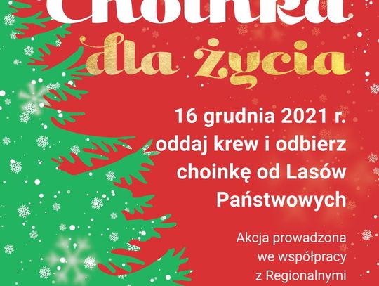 „Choinka dla życia” - akcja Lasów Państwowych