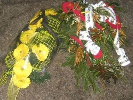 Cmentarne hieny na Aniołkach