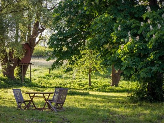Co nowego w świecie domu i ogrodu? Najciekawsze inspiracje i rozwiązania