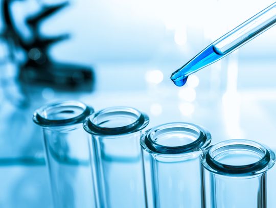 Co przyczyną sepsy u 10-latki? Wstępnie znane źródło zarażenia posocznicą