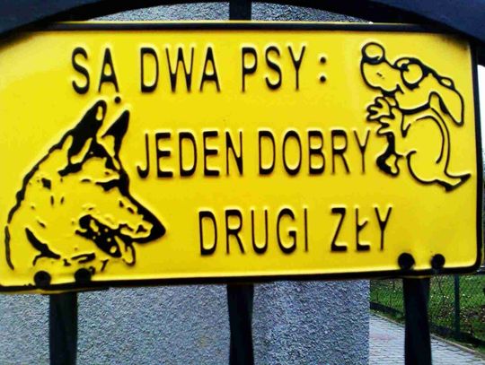 Co w mediach piszczy...