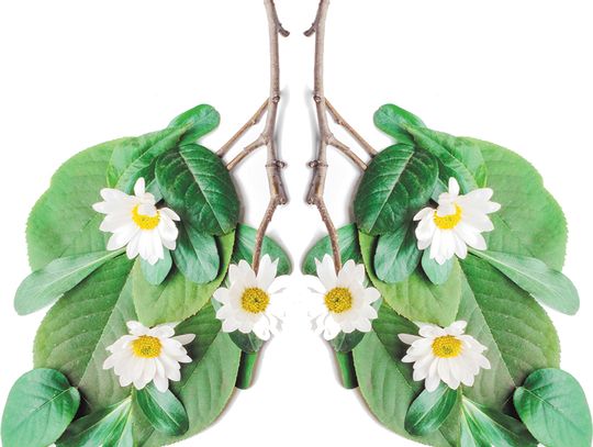 Co warto wiedzieć o alternatywach dla papierosa