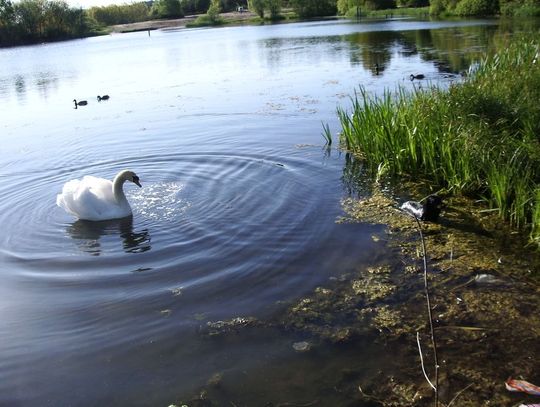 Coraz więcej pięknych wsi na Pomorzu
