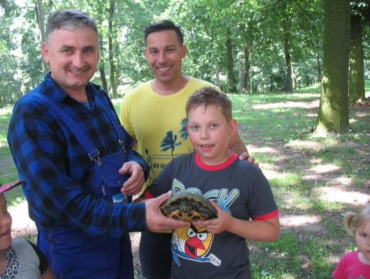 Coś ruszało się pod drzewem. W Parku Miejskim znaleźli... żółwia