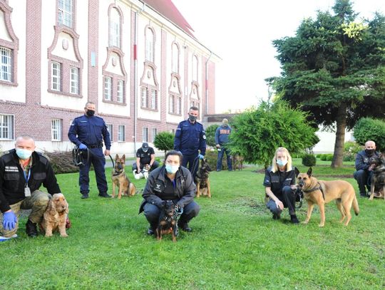 Ćwiczenia przewodników z psami służbowymi w sztumskim więzieniu