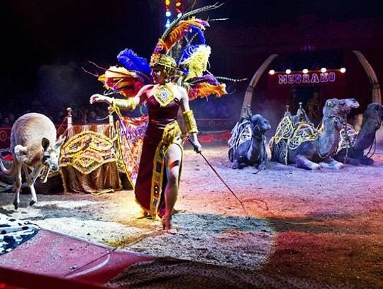 Cyrk Medrano już w Tczewie