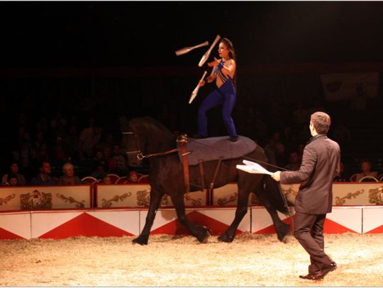 Cyrk Zalewski na Pomorzu