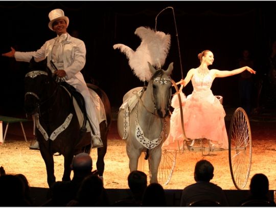 Cyrk Zalewski w Malborku!