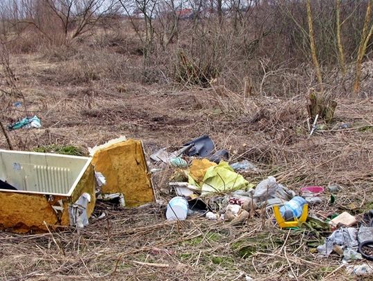 Czas oddać deklaracje – kara dla spóźnialskich