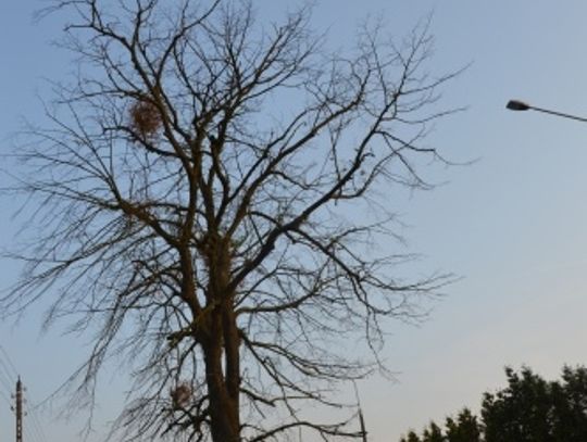 Czekając na tragedię... Suchy problem mieszkańców