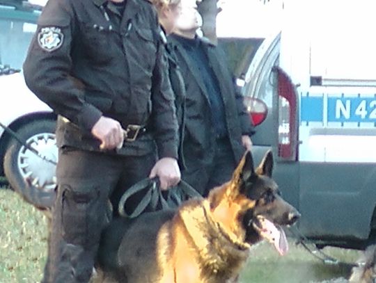 "Czujny" wytropił złodziei