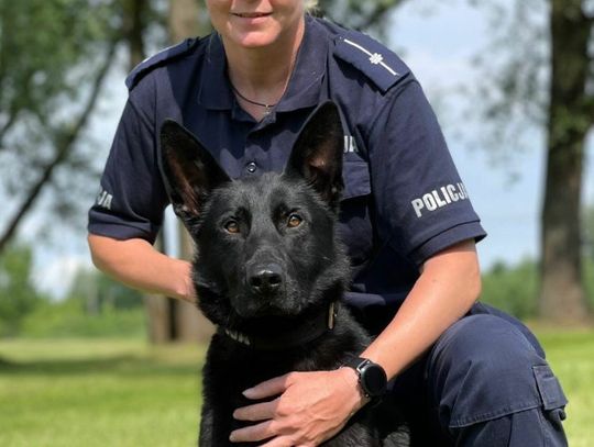 Czworonożny funkcjonariusz w bytowskiej komendzie policji