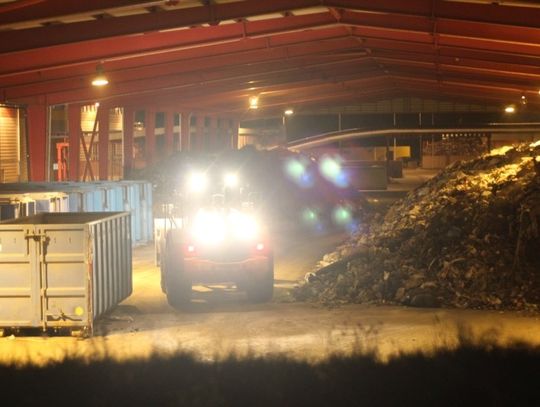 Czy w Starym Lesie powstanie cmentarz dla zwierząt i grzebowisko padliny?