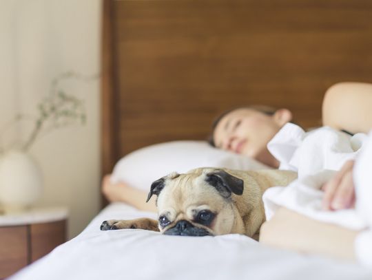 Czy znasz już prześcieradła polskiej firmy Andropol?