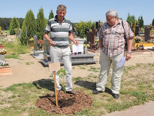 Dąb na pamiątkę tragicznej śmierci