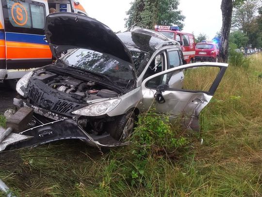  Dachowanie i zakleszczony kierowca w aucie (ZDJĘCIA)