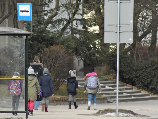 Darmowa komunikacja w kolejnych miastach na Pomorzu.