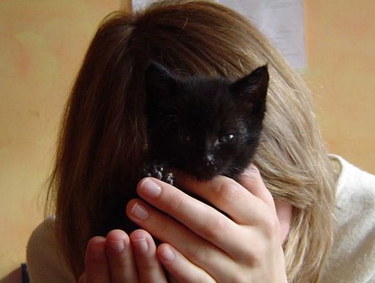 Depresyjna jesień, kryzys finansowy. Czy będzie fala samobójstw?