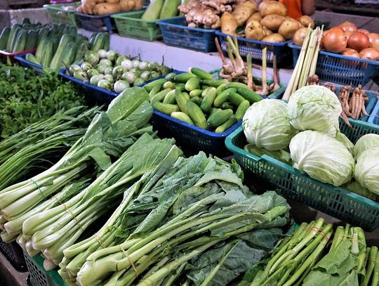 Dieta pudełkowa w Gdańsku – czy warto?