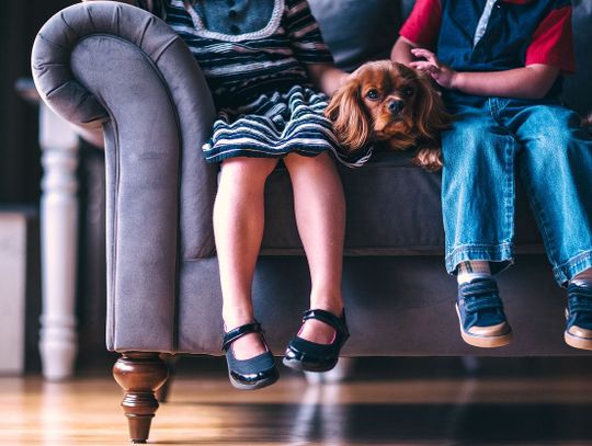 Dlaczego warto nosić obuwie ortopedyczne i czym kierować się przy jego wyborze?