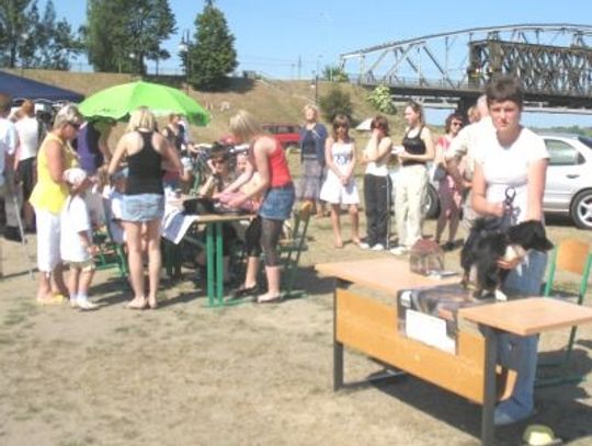 Dmuchane zamki, kucyki i... muzyka