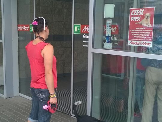 Do Media Markt wejdziesz z... psem. To pomysł na upalne dni