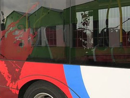 Dodatkowe przystanki na liniach autobusowych 175 i 295