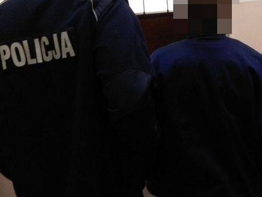 Dokonał 19 kradzieży na terenie gminy. Ukrywał się w ziemiance w lesie.