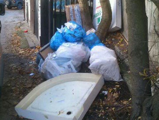 Dokumentacja z biura posłanki Hall na śmietniku