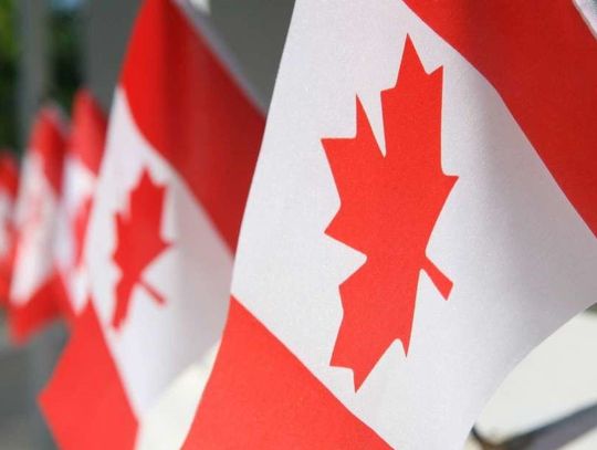 Dolar kanadyjski – informacje na tematy waluty kanadyjskiej