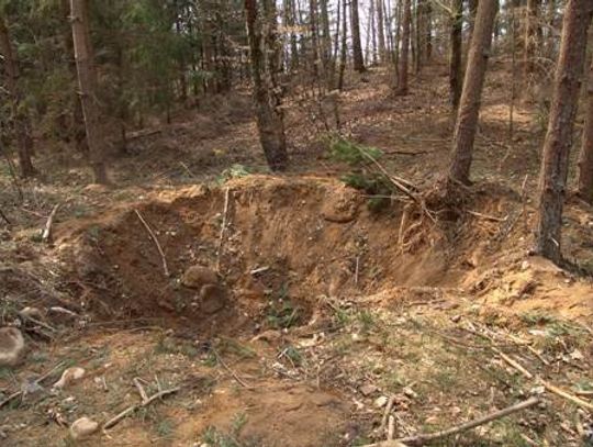 Domorosły pirotechnik - swoje bomby detonował w lesie