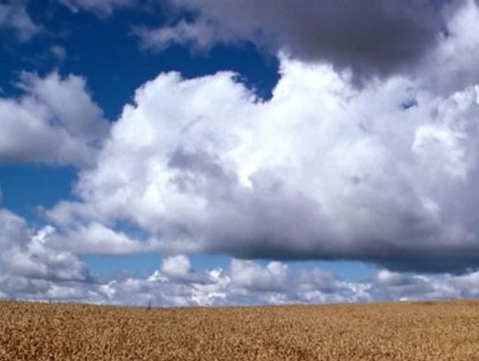 Dożynkowa impreza w Tychnowach