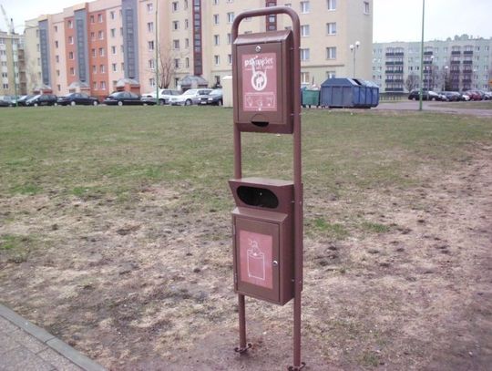 Drobnoustroje i bakterie na chodnikach. Czy przez psie odchody miastu grozi epidemia?