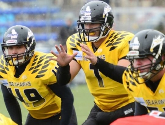 Drużyna Seahawks Gdynia pokonałaAZS Silesia Rebels