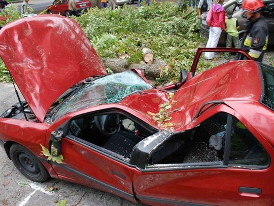 Drzewo spadło na samochód, jedna osoba ranna