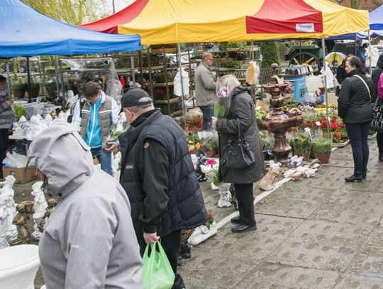 Duże zainteresowanie miłośników roślin na wiosennych targach