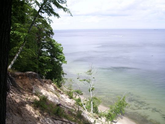 Dwa lata za zgwałcenie 17-letniej dziewczyny