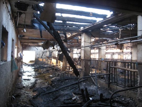 Dwa wielkie pożary w jednym gospodarstwie – podpalacz ujęty!