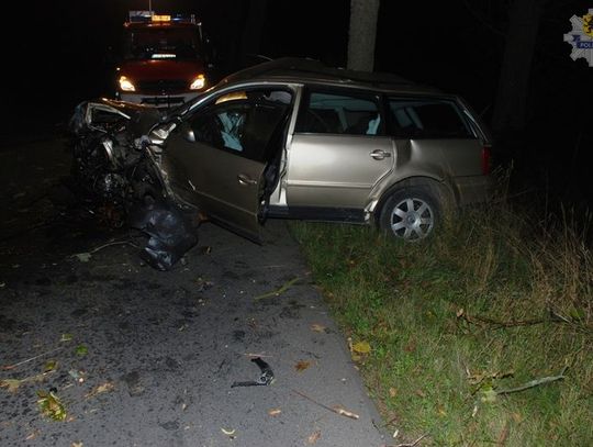 Dwie osoby ranne po zderzeniu z sarną