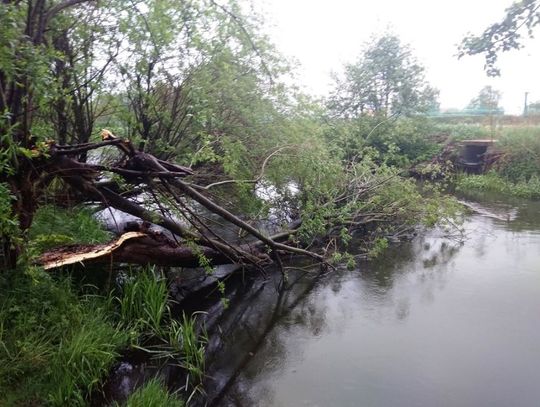 Działalność Wód Polskich