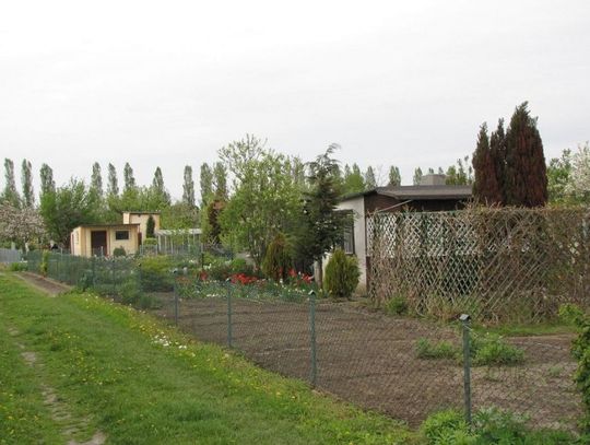 Działki na celowniku przestępców