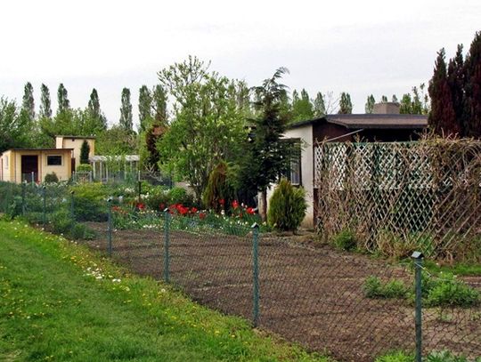 Działkowców straszą prezydentem?