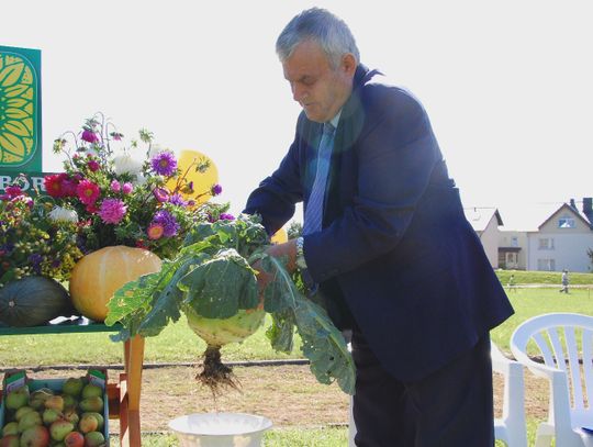 Działkowcy podsumowali rok. Ogromne dynie, kalarepy i pory