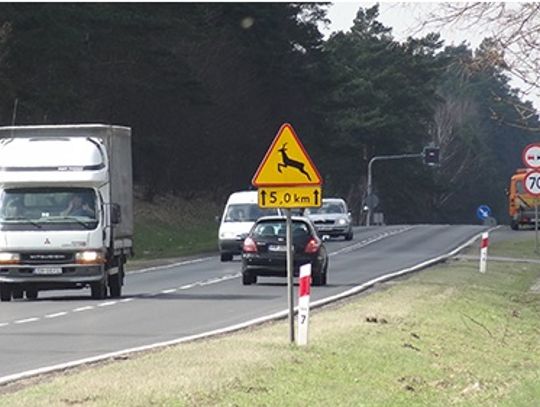 Dzika zwierzyna na &quot;berlince&quot;? Zabezpieczeń nie będzie