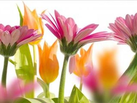 Dziś Dzień Matki! "Sto lat mamusiu" - życzą przedszkolaki