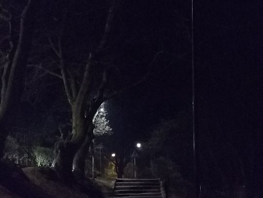 Egipskie ciemności w Parku Miejskim. Po naszej interwencji zrobiło się jaśniej...